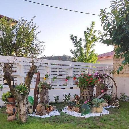 Case Di Bacco Agropoli Exteriör bild